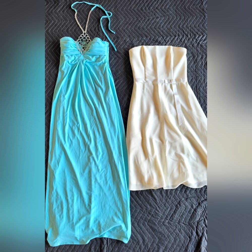 Prom Dress - Mary L. Couture  + Scott McClintock - 2 dresses